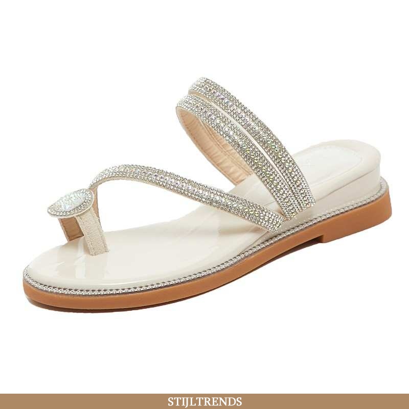 Flip Flops Dames Pantoffels Zilveren Bovenkleding