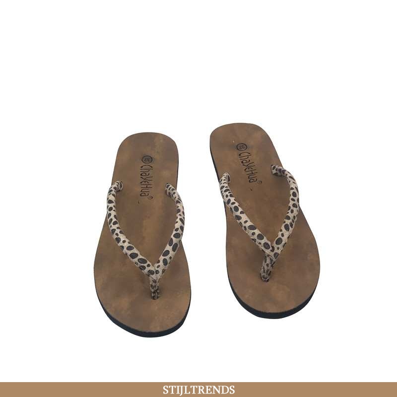 Flip Flops Dames Schoenen Hippe Antislip