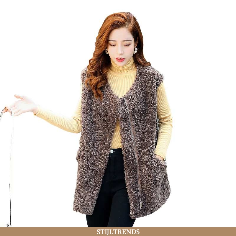 Gilet Dames Met Capuchon Bruin Bruine