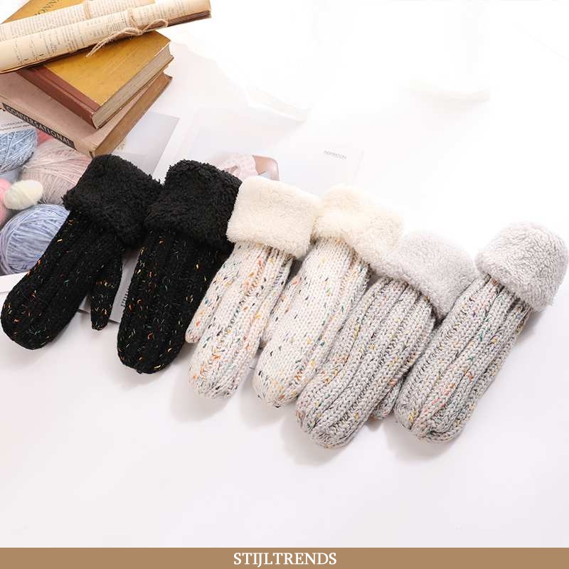 Handschoenen Dames Suede Winter Mooi