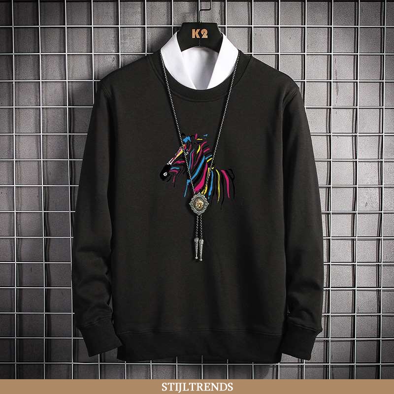 Hoodie Heren Lange Mouwen Pullover Zwarte