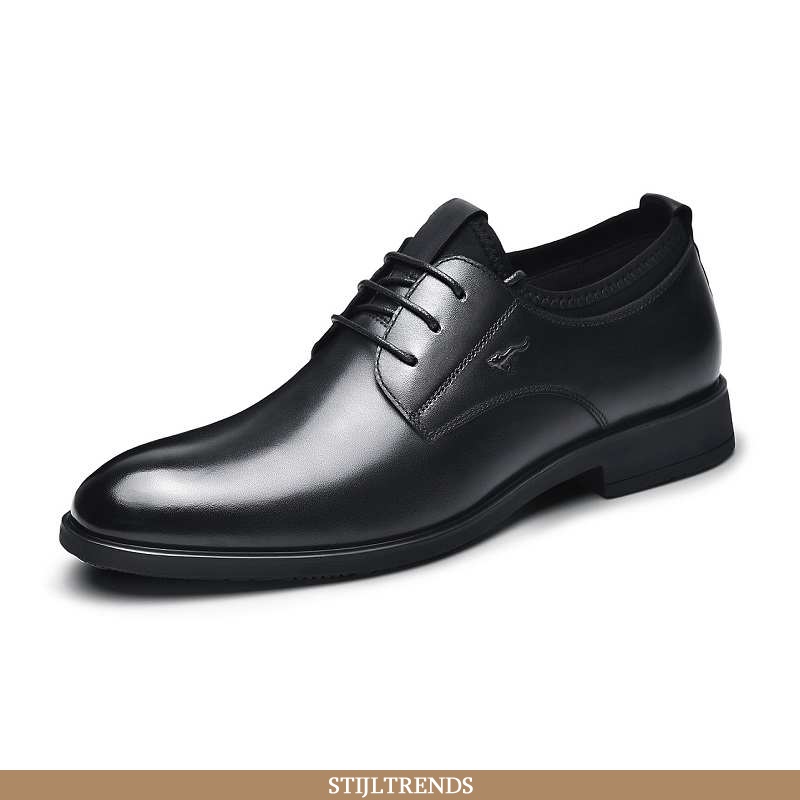 Leren Schoenen Heren Schoenen Leren Herfst Zwart