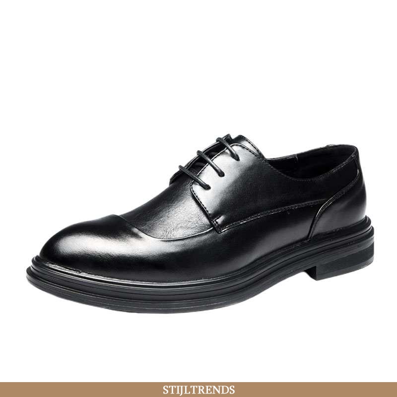 Leren Schoenen Heren Schoenen Leren Met Plateauzool Mini