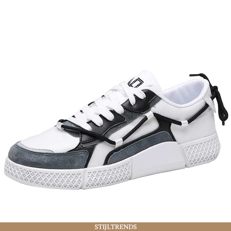 Sportschoenen Heren Schoenen Canvas Lente Lovers