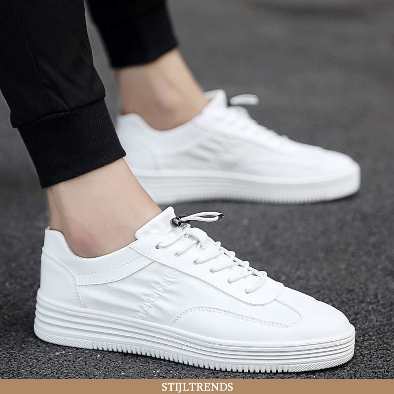 Sportschoenen Heren Skateboard Schoenen Canvas Casual Mannen